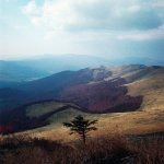 Bieszczady