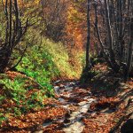 Bieszczady