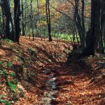 Bieszczady