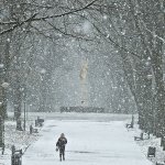 Fotografia Uliczna