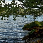 Krajobrazy