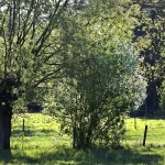 Krajobrazy