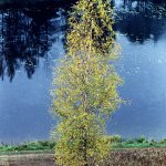 Suwalski Park Krajobrazowy
