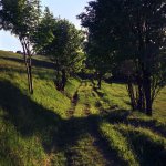Suwalski Park Krajobrazowy