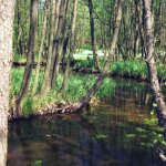 Suwalski Park Krajobrazowy