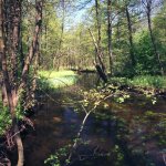 Suwalski Park Krajobrazowy