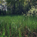 Suwalski Park Krajobrazowy