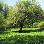 Suwalski Park Krajobrazowy