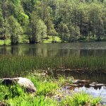 Suwalski Park Krajobrazowy