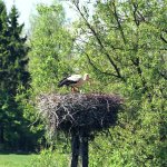 Suwalski Park Krajobrazowy