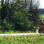 Suwalski Park Krajobrazowy