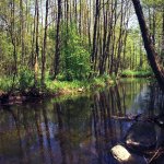 Suwalski Park Krajobrazowy