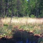 Suwalski Park Krajobrazowy