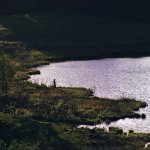 Suwalski Park Krajobrazowy