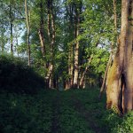 Suwalski Park Krajobrazowy