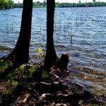 Suwalski Park Krajobrazowy