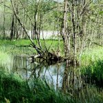 Suwalski Park Krajobrazowy
