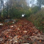 Suwalski Park Krajobrazowy