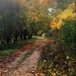 Suwalski Park Krajobrazowy