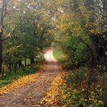Suwalski Park Krajobrazowy