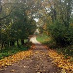 Suwalski Park Krajobrazowy