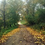 Suwalski Park Krajobrazowy