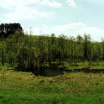 Suwalski Park Krajobrazowy