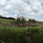 Suwalski Park Krajobrazowy