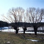 Suwalski Park Krajobrazowy