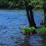 Suwalski Park Krajobrazowy