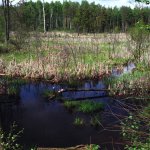 Suwalski Park Krajobrazowy