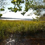 Suwalski Park Krajobrazowy